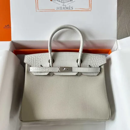 Hermès Birkin Bag in Brown with Gold Hardware