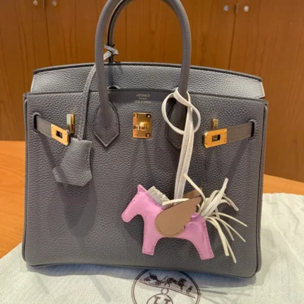 Hermes Birkin 25 in Brown Gold Hardware